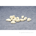 Supply Garlic New Season - prix pas cher